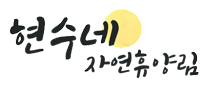 현수네 Logo